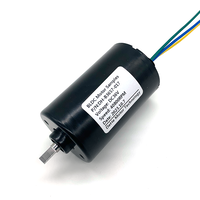 BL3657_Brushless Motor_Shenzhen Dehe Motor Technology Co.,Ltd